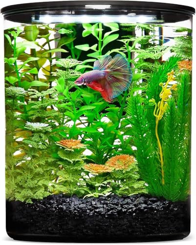 YISITONG Fish Tank, 3 Gallon Aquarium Starter Kit with Filter and LED Lighting (17 Color Choices), 360 View Aquarium for Small Fish Quiet Desktop Aquarium for Home, Office & Gifts ﻿