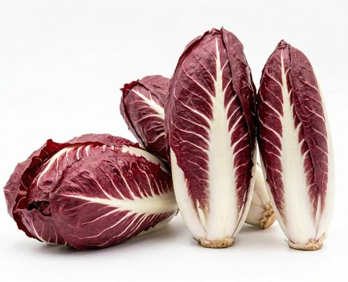 Semi di Cicoria Rossa di Treviso 6g | Cicoria da Coltivare per Orto, Vaso e Balcone | Alta Germinazione, Crescita Veloce | Semi Ortaggi per Orto Domestico
