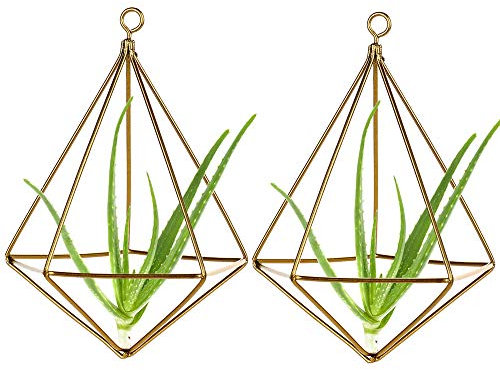 LouisaYork Hängender Luftpflanzenhalter, freistehender Wandbehang, Metall, Luftpflanzen-Regal, kreativer geometrischer Hängetopf für künstliche Pflanzen und mehr, Gold