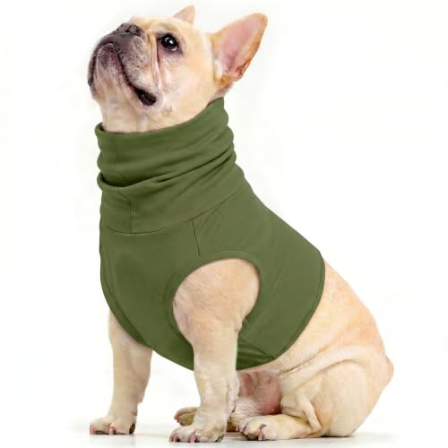 PUMYPOREITY hundmössa, hundbody blodöra othematom bandage huvud hund djur halsduk Op förhindrar repor på halsen (armégrön, L)