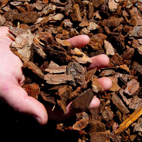 Orchid Bark - Natural Bark Chips for Reptiles, Vivariums, Terrariums & Orchid Potting (5L)