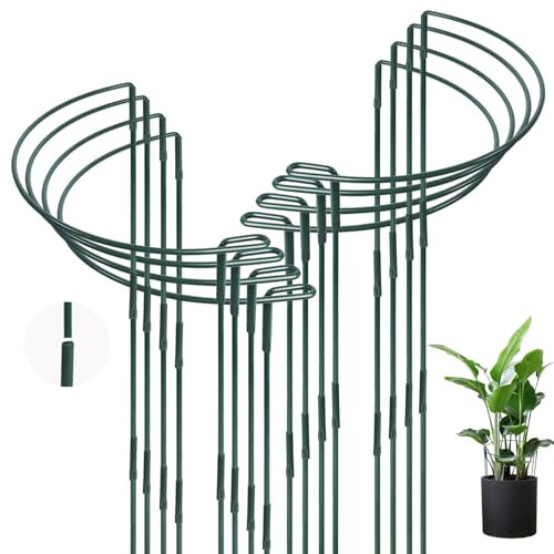 Qaziuy 25 x 60 cm, 8 supporti per piante in metallo, semicircolari, per piante rampicanti, per piante rampicanti, per peonie, ortensie, verdure, pomodori, piante in vaso