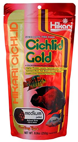 Hikari Cichlid Gold - Medium 250g