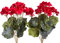 Evergreens künstlicher Geranienbusch mit 7 Stielen und 3 kleinen und 4 größeren Blütenköpfen (2 Stück) (rot)