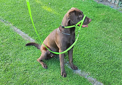 Headcollar Set, Reflective Padded Head Collar and Lead Dog Training Halter Stops Dog Pulling Training Tool (Reflective Green, 4)
