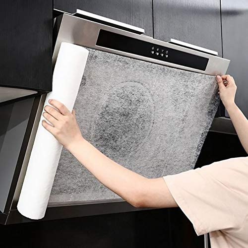 HEEPDD Carta da Filtro Antigrasso per Cappa da Rotolo di Carta da Filtro per Cappa da, Fogli Filtranti per Grasso in Tessuto Non Tessuto, Resistente Al Calore per Qualsiasi da Nan (Bianco, grande)