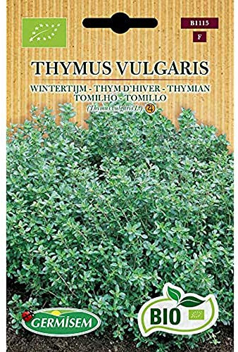 Germisem Thymian THYMUS VULGARIS, ECBIO1115