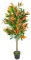 Leaf Realistic Red Robin Artificial Ficus Tree/Plant
