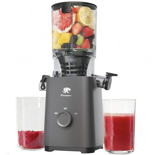 Cold Press Juicer Machines, 5.3 Large Feed Chute Slow Masticating Juicer, Powerful AC Brushless Motor Fit Whole Fruits & Vegetable, 99% Juice Yield, Ultra Quiet, Easy Clean