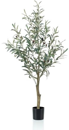 Olivenbaum XL – Höhe 115 cm – große Gartenpflanze