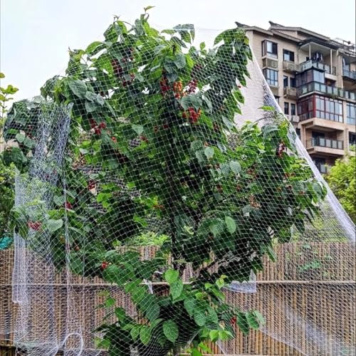 ININOSNP Red Resistente for árboles frutales y Plantas, Valla de plástico Blanca Grande for jardín, Valla for Animales, Valla Temporal, Valla for gallinas(15x15m/49.2x49.2)