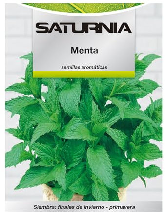 Semillas Aromaticas Menta (0.3 gramos) Horticultura, Horticola, Semillas Huerto.