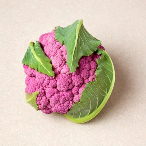 Cauliflower DePurple F1 - Striking Purple Florets, Rich Flavour - Kew Gardens Vegetable Seed Collection - 1 Packet (10 Seeds) by Thompson & Morgan