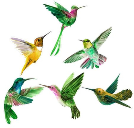 UKCOCO 6piezas Pegatinas Anticolisión Para Ventanas Diseño Sin Adhesivo Protección Segura Para Aves y Decoración Para Hogar Para Ventanas De Dormitorio y Sala