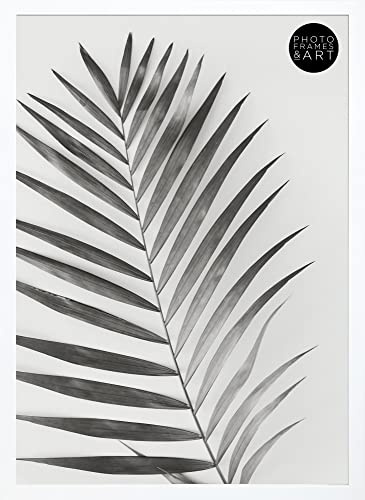 pf+a A2 (59.4x42cm) Poster Frame - Perspex Window - Oxford White Thin Poster Frame For A2 / 59.4 x 42cm