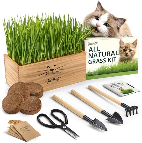 Grass Kit for Indoor Cats - 4 Seed Packs | Grass Seeds for Cats with Wooden Pot, Floor and Mini Gardening Tools for Mincing - Wheat Grass Safe for Cats