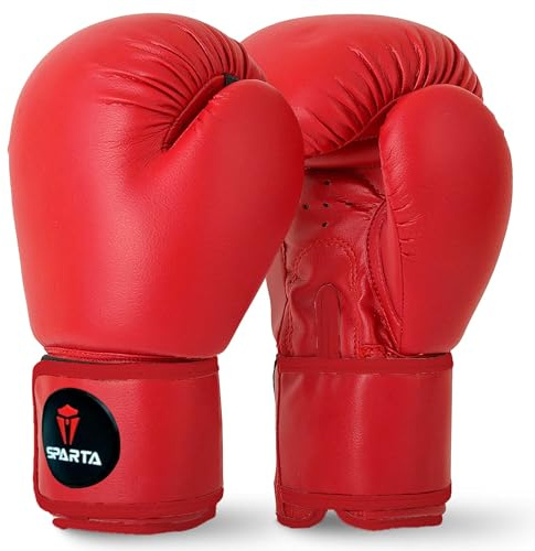 Boxing Gloves for Muay Thai, Training, Sparring, Kickboxing, Fighting, Focus Pads, Punch Bag Mitts, Martial Arts, Workout Gloves, Red, 10oz