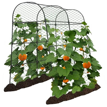 AlisisFores Garden Arch Trellis for Climbing Plants Outdoor 7.2 ft Height Large Tunnel Trellis Support for Vegetables Plant Cucumber Trellis for Garden Raised Bed, Black