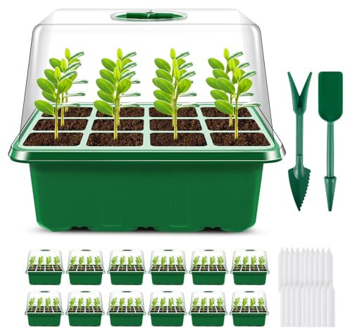 Qmioti 12 Stück Zimmergewächshaus Anzuchtkasten, 144 Zellen Mini Gewächshaus Klein Anzuchtset Anzuchtplatte mit Feuchtigkeitskuppel, Gewächshaus Keimungsset für Sämling Pflanze, Grün