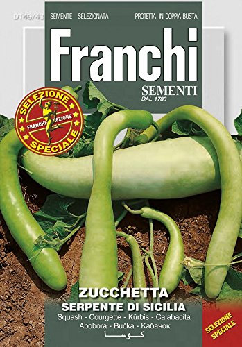 SEMI ZUCCHETTA SERPENTE DI SICILIA DOPPIA BUSTA FRANCHI SEMENTI