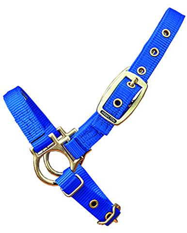 Halter Sheep Adj Blue 35Da