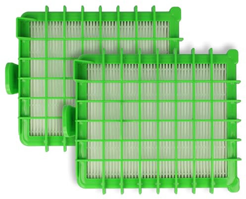 vhbw 2x filtre compatible avec Rowenta RO547311/410, RO5485, RO5485EA aspirateur - Filtre HEPA contre les allergies