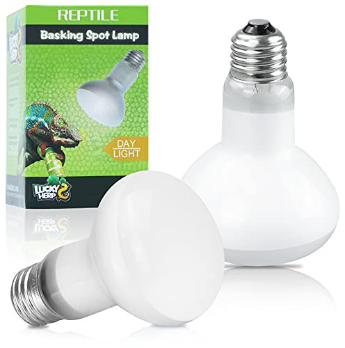 LUCKY HERP Pack de 2 lámparas de terrario de 100 W para reptiles, lámpara de calor anfibio, lámpara de luz diurna para tortugas, dragones barbudos, uso de calefacción