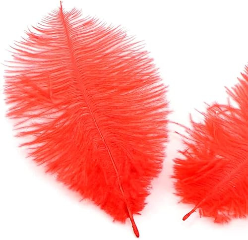 ies 20 stycken 15–20 cm naturliga strutsfjädrar, bukettfjäder för pyssel, pysselfjädrar för gör-det-själv drömfångare tillbehör, heminredning, kostymer, bordsdekoration, bröllop, fest, hatt, kläder,