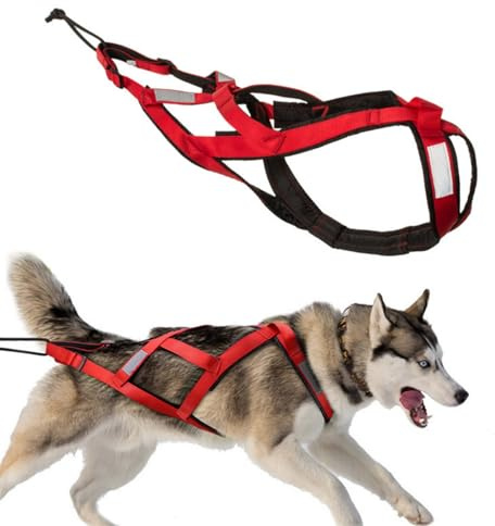 Arnés de Tiro para Perros con Rayas Reflectantes, arnés Impermeable para trineos, arnés de Ejercicio para Perros, esquí y trineos. (Rojo, 3XL)