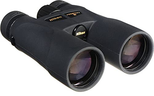 Nikon PROSTAFF 5 10x50 Binocular Ceiling Black - Binoculars (10x, 5 cm, Ceiling, Black, 5 mm, 98 m)