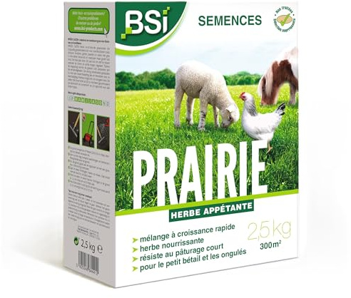 BSI - Semences de Gazon - Prairie - Haute qualité - Grande Surface -jusqu'à 300m² - 2,5Kg, Beige