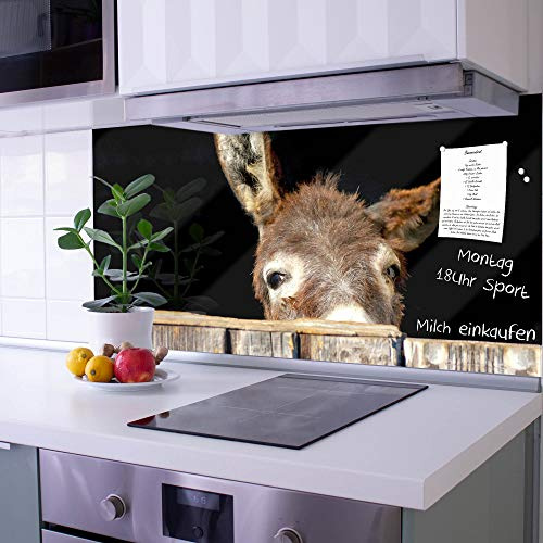 banjado Küchenrückwand Glas ohne Bohren 100x50cm – Glasrückwand Küche mit Motiv Esel/Spritzschutz Küchenrückwand Glas/selbstklebende Küchenrückwand Platte - magnetisch & beschreibbar