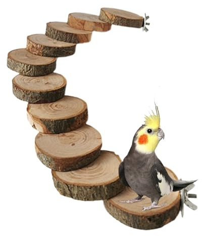 Yaztauho Papageienleiter - Käfig Zubehör - Vogelleiter Sitzstange,Für Wellensittiche Nymphensittiche Finken Zur Beschäftigung Bei Alleinsein Zu Hause Zur Verhinderung Von Langeweile Und Für Geistige