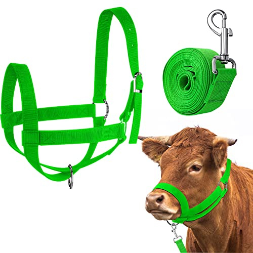 Hillban Cabestro de vaca ajustable para ganado con cuerda líder para caballos en miniatura, burro, cabra, potro, suministros de entrenamiento de ganado (grande, verde)