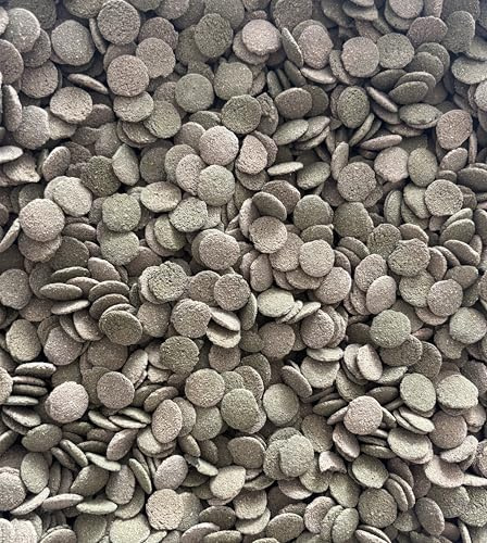 Plaquettes d'algues/chips de poisson-chat 12 mm – 6 % de spiruline – Comprimés coulants pour mangeurs d'algues, silures et poissons de fond dans l'aquarium (250 g)