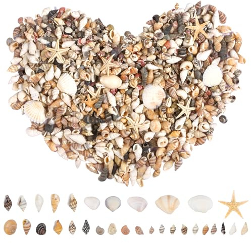 1000 PCS Natural Sea Shells 10 Starfish with Glass Beads - Mixed Sizes Beach Shell Decor for DIY Crafts Home Decoration Wedding Party Aquarium Ornament Coastal Nautical Theme Decorations
