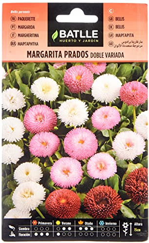 Semi di Fiori – Margherita Prados Doppia Variata – Batlle