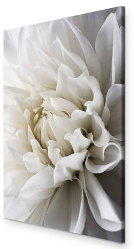 B&D XXL - Quadro Fiori 80x120 cm 1 Pezzo - Stampa su Tela Strutturata XXL Grande - Quadri Moderni Soggiorno Grandi - Stampe da Parete Murale Arte Moderno Pittura - b-B-0112-b-a