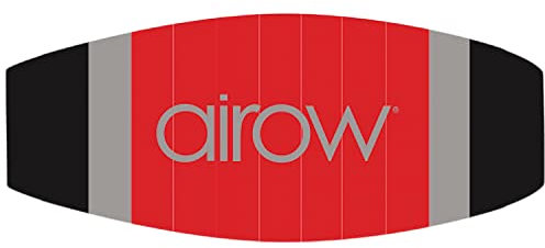 Drache Einleiner Zweileiner Lenkmatte für Kinder ab 3 Jahre bunt Tiere Fiberglas Lenkdrache Flugdrache (Lenkmatte rot)