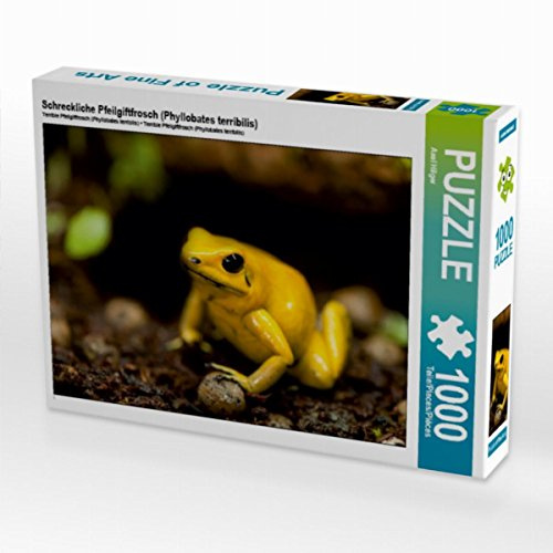 CALVENDO Puzzle Schreckliche Pfeilgiftfrosch (Phyllobates terribilis) 1000 Teile Puzzle quer | Lege-Größe cm Foto-Puzzle für glückliche Stunden
