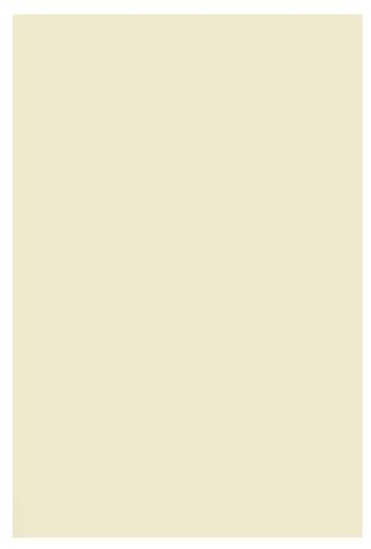 Netuno 200 x naturpapper elfenben DIN A4 210 x 297 mm 170 g Arena Smooth Ivory skrivarpapper krämfärgat färglaserpapper ritpapper laserpapper broschyrpapper brevpapper kontorspapper