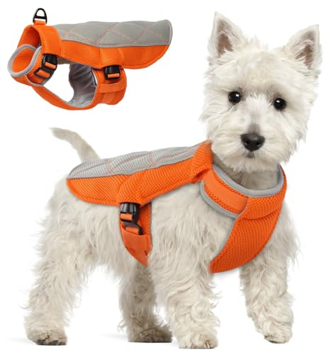 Hjumarayan Gilet rafraîchissant pour chien - Avec anneaux en D - Manteau rafraîchissant pour chien - Respirant - Pour les chaudes journées d'été - Orange - Taille XS