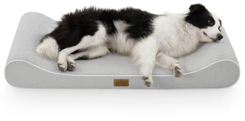 COZY KISS Large Dog Bed 114x76x15cm - Washable Cat Beds for Indoor Cats, Thick Foam Pet Mat with Removable Washable Cover, Anti-Slip Bottom, Suitable for Multi-Cat & Dog Households, Gray, L