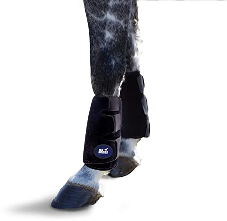 Ice Horse Pair of Tendon Leg Wraps for Equine Therapy - Comes with 4 Ice Packs
