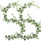 Luckwaii Lot de 2 guirlandes de lierre artificiel à suspendre - Faux lierre artificiel - Décoration murale pour jardin, mariage, fête, décoration murale (blanc vert)