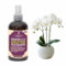 Professional PHALAENOPSIS Spray Fertilizer Mist for Home Gardening | 3-1-2 Gentle Blend Mist for Healthy Leaves & Growth | Essential Nutrients for All Orchids - 8oz