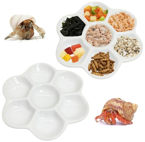 2 Pcs Hermit Crab Food Dish
