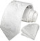 HISDERN Krawatte Herren Paisley Krawatte und Einstecktuch Set Krawatten Weiß