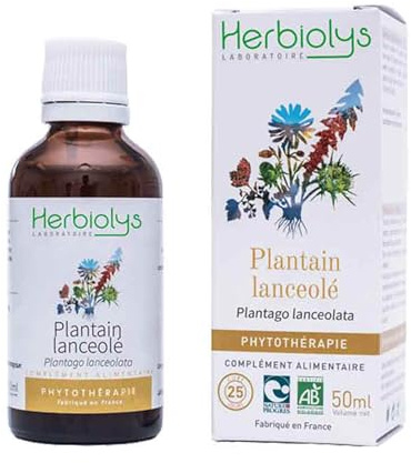 Herbiolys | Extrait De Plantes Fraîches Bio | Plantain lanceolé (Plantago lanceolata) | Troubles ORL & Respiration | Phytothérapie Bio | 50 ml