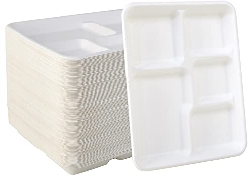 Vplus 500 Pack 5 Compartment Plates, 100% Compostable Paper Plate, 10.25x8.5 inch Disposable School Lunch Trays, Eco-Friendly Bagasse Plates for School Lunch, Buffet, and Party, Perfect for Kids